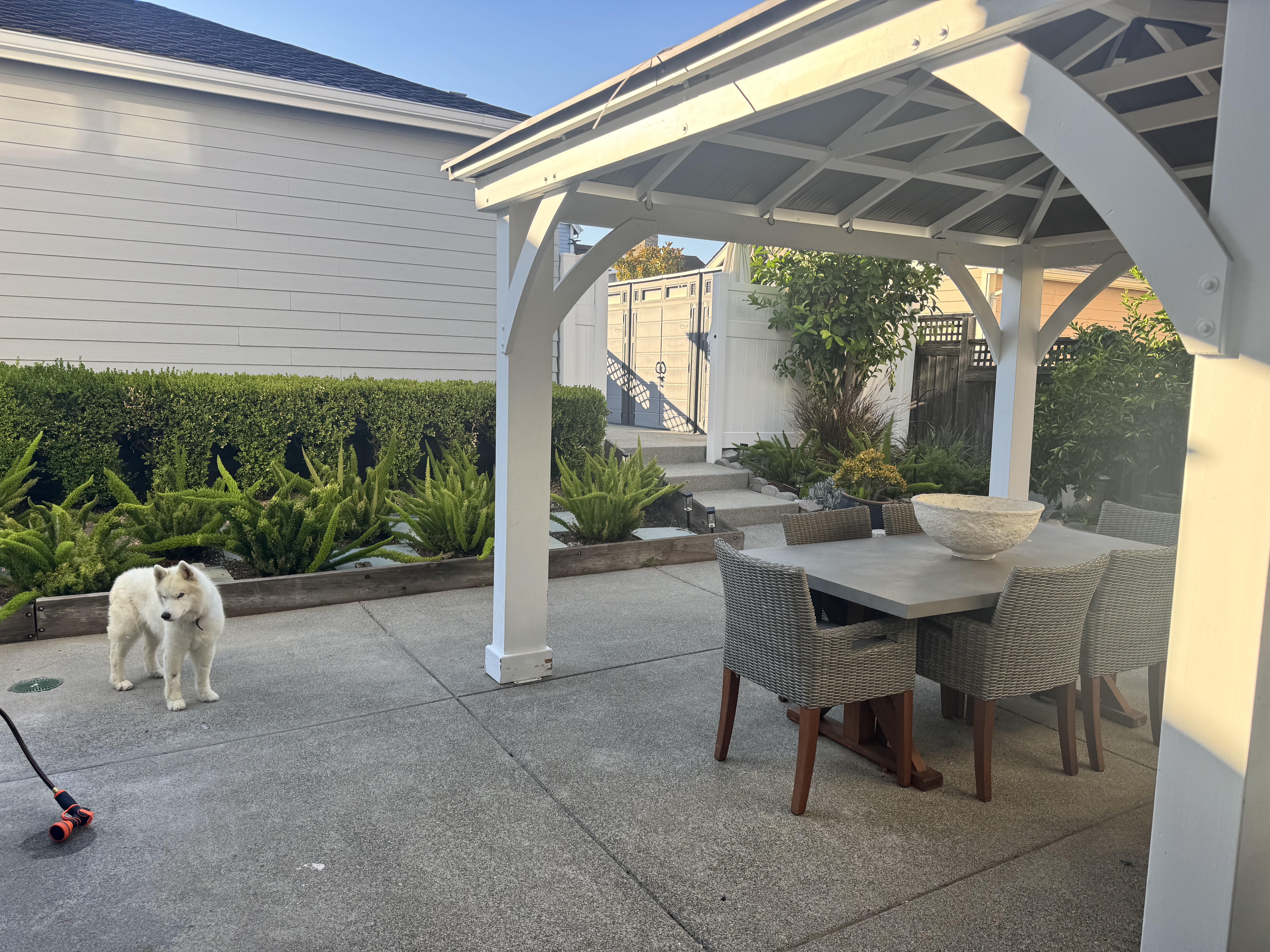 Backyard