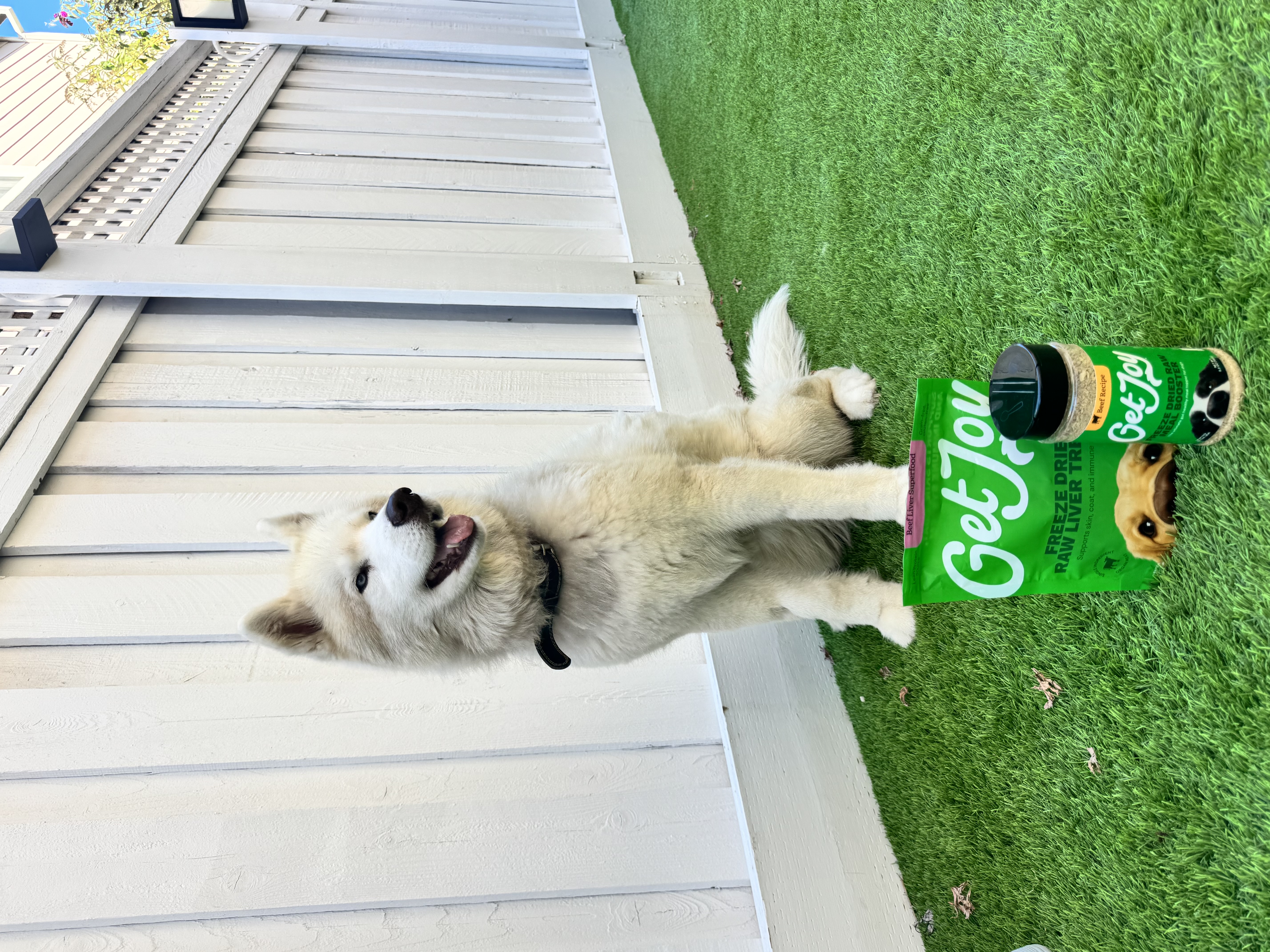 GetJoy